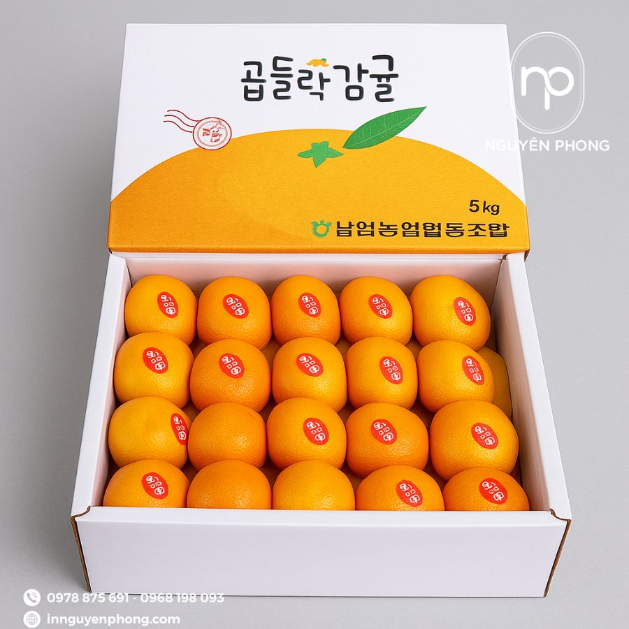 in-thung-carton-dung-dua-gia-re-tai-ha-noi